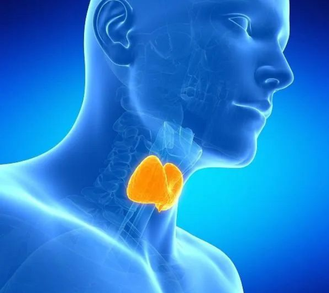 mIHC多色技术在晚期甲状腺癌免疫图谱分析中的应用