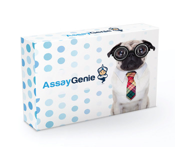 Assay Genie——试剂盒&抗体&蛋白一站式科研助手