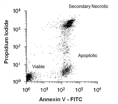 艾美捷Annexin V-FITC凋亡检测试剂盒流式细胞术方案 艾美捷Annexin V-FITC凋亡检测试剂盒流式细胞术方案
