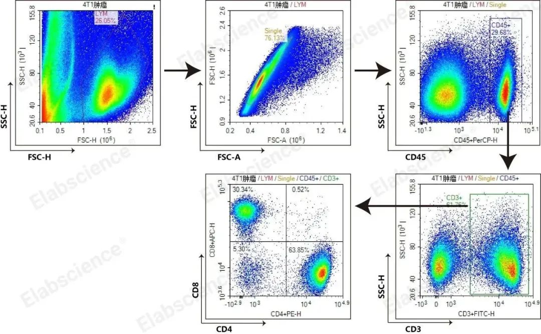 流式课堂 | 组织单细胞悬液制备中各种酶的特性及应用场景