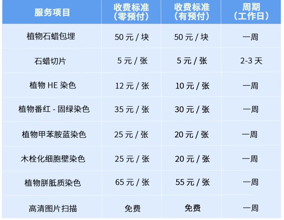 植物标本染色技术服务