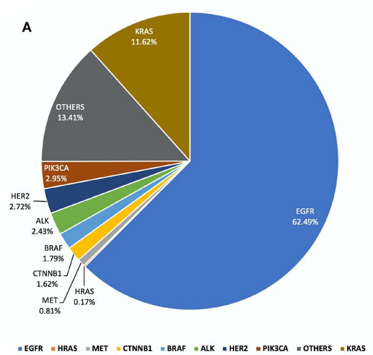 图10 肺癌中常见的基因突变.png