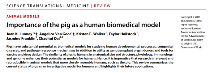 动物模型（猪篇） | 一文了解猪作为试验动物，有哪些应用？