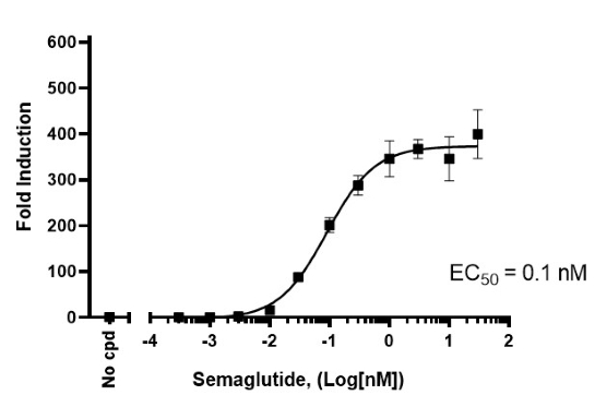 GLP-1R/CRE Luc报告基因 HEK293 细胞系