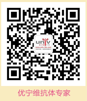 BioXcell特色推荐——InVivoMAb anti-mouse CD25 (IL-2Rα)