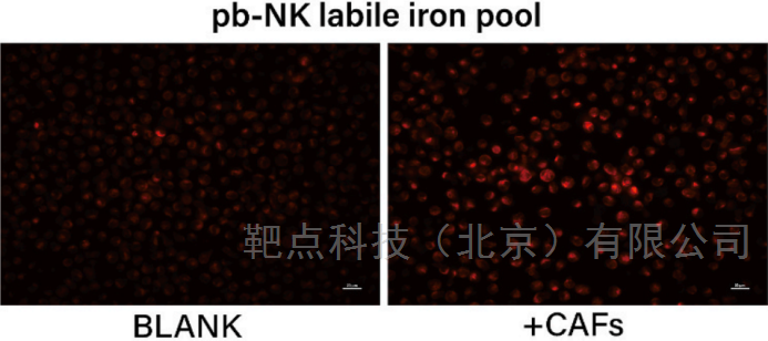 悬浮细胞免疫荧光专用玻片使用解决方案文献参考