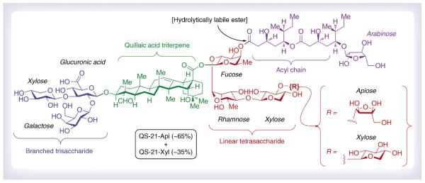 QS-21的自我介绍