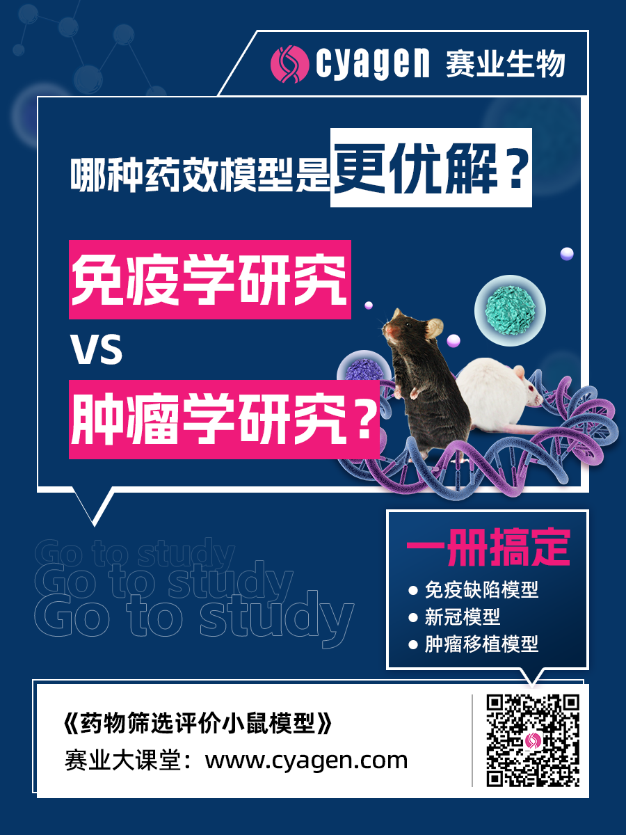 免疫缺陷人源化小鼠