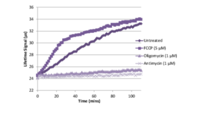 艾美捷耗氧率检测试剂盒,高效率测量活细胞耗氧量 艾美捷耗氧率检测试剂盒,高效率测量活细胞耗氧量