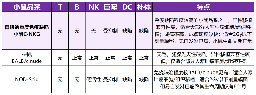 重度免疫缺陷鼠C-NKG担任CDX活动代言鼠啦！