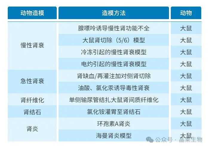 1709541753910541.jpg 新闻图片15