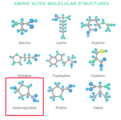 艾美捷 BioVision 羟脯氨酸检测试剂盒，快速方便高性价比