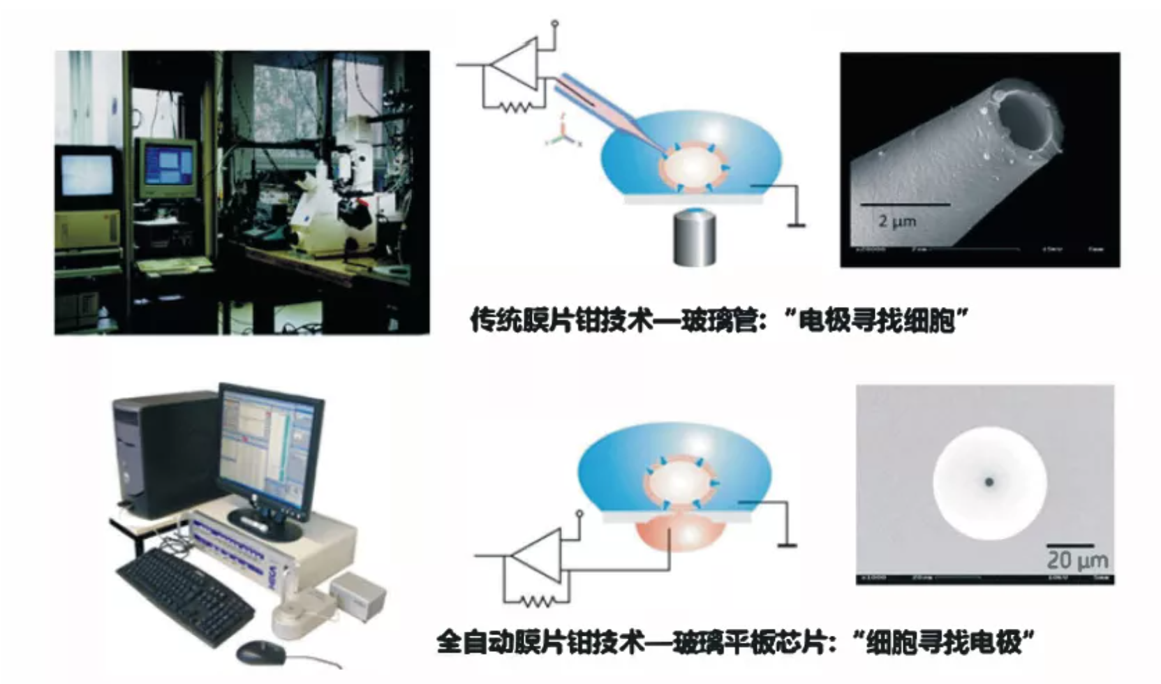 优宁维发布 | 电生理研究难？想要全自动技术看过来