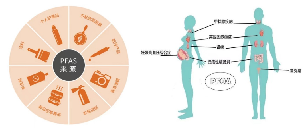 PFAS检测新方案 GCMS大有可为