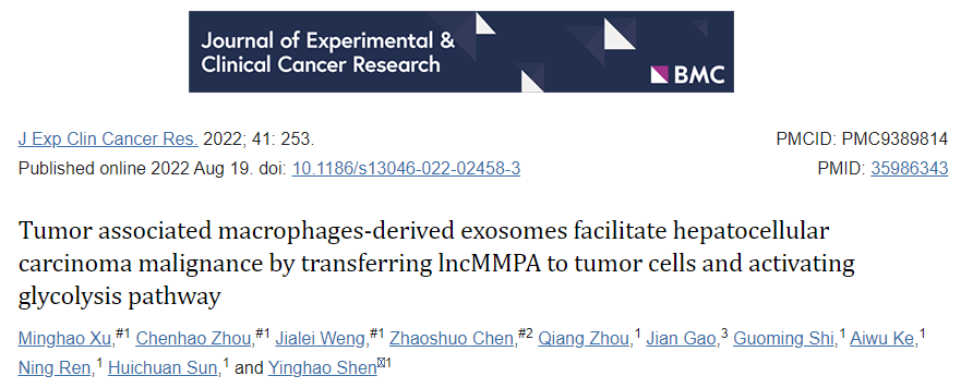 【J Exp Clin Cancer Res】11+，TAMs外泌体通过LncMMPA转移并激活糖酵解促进肝癌恶性发展