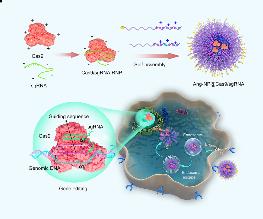 1698022800483518.png 1698022800483518.png