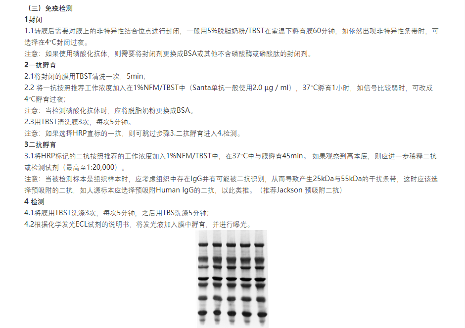 新闻图片7