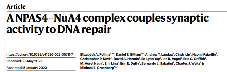 Nature | 神经元特化的DNA断裂修复的新机制