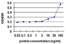 Abnova MYOC (人)抗体对化学性质和应用说明