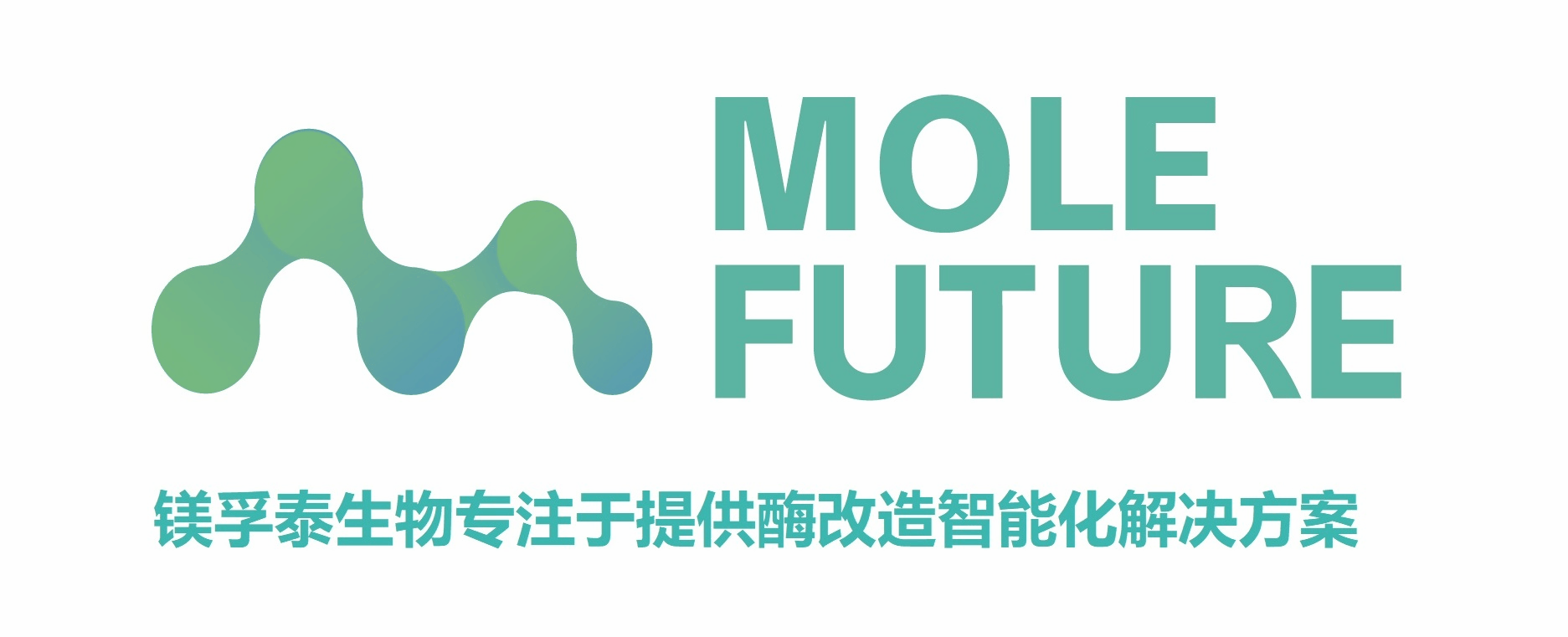 翌圣-镁孚泰生物为您提供专业的酶定制服务！