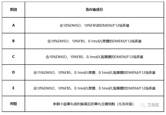 海藻糖在细胞冻存方面的应用（3）小鼠睾丸生精细胞冻存