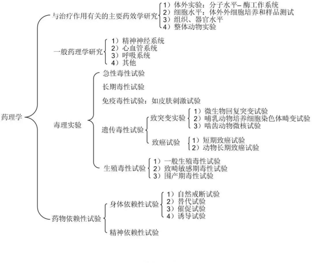 小白说药 | 临床前成药性评价