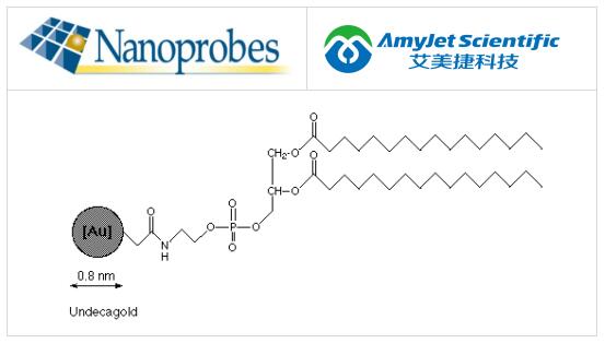 Nanoprobes丨二棕榈酰磷脂酰十一金中文说明 Nanoprobes丨二棕榈酰磷脂酰十一金中文说明