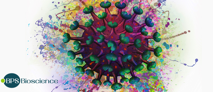 破译 Omicron 新突变体的工具