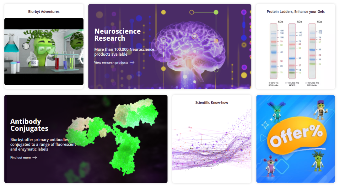 Biorbyt英文网站改版升级了