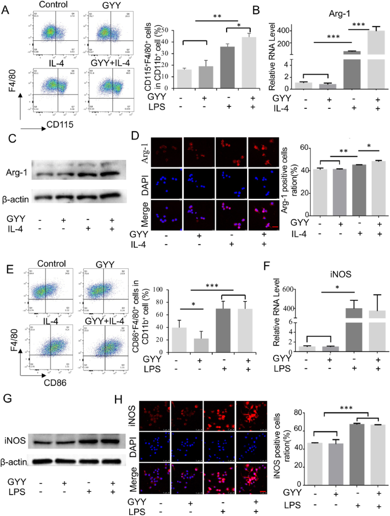 外泌体技术服务 外泌体技术服务