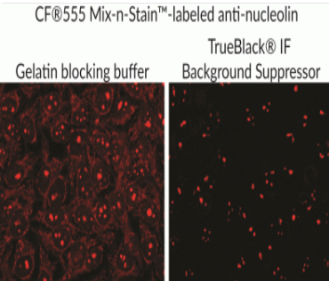 艾美捷TrueBlack IF背景抑制系统解决方案