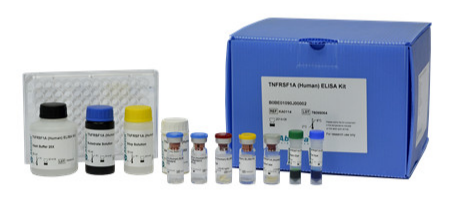 Abnova LRP1重组蛋白解决方案 Abnova LRP1重组蛋白解决方案