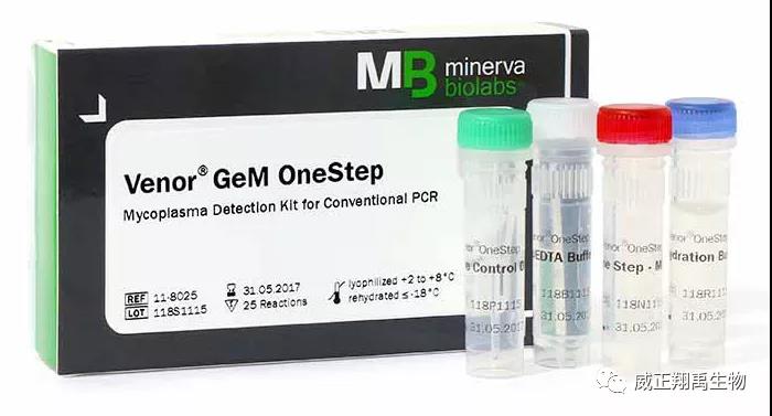 怎样给细胞做支原体筛查