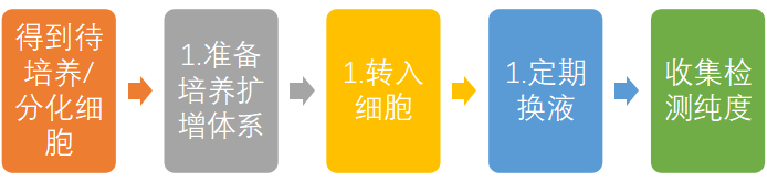 罗工秘籍21——T细胞培养及分化的实验要点小结