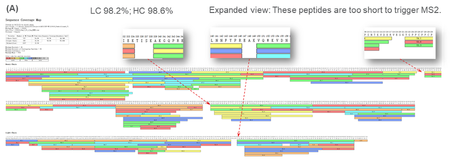 基于尖端的全柱成像等电毛细管电泳