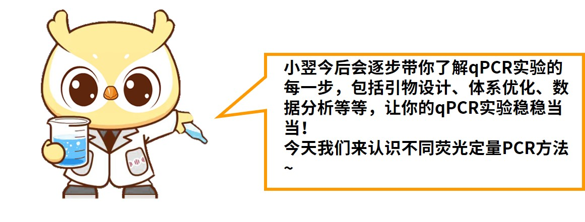 涨知识 | qPCR专场七：认识不同荧光定量PCR方法