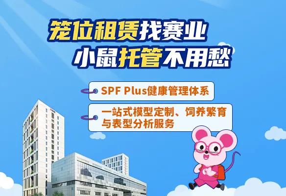 小鼠健康检测出现阳性