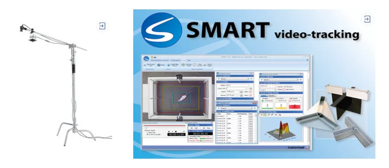 抑郁症造模丨慢性社交挫败应激CSDS建模介绍