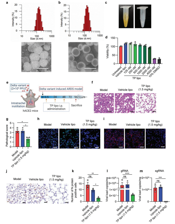 植物提取物抗新冠病毒研究进展