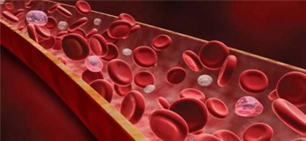 全血样品中游离cf-DNA和cf-RNA保存管