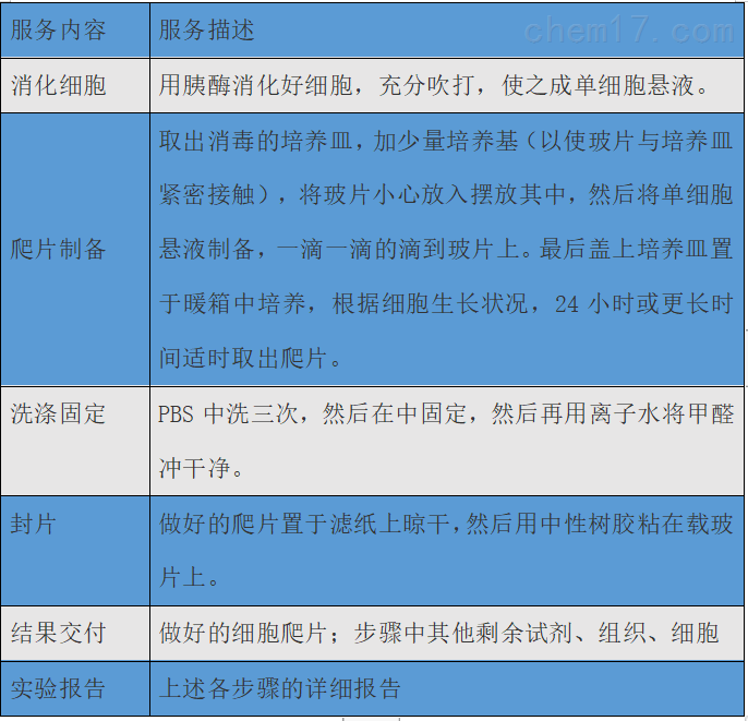 【技术服务】细胞爬片实验
