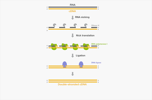 1697678327464259.png 12.png