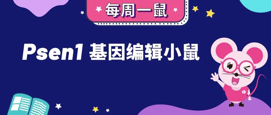 【每周一鼠】阿尔兹海默病与Psen1基因编辑小鼠