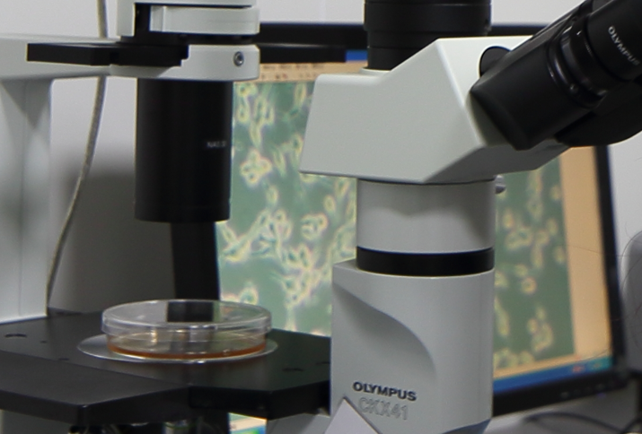 解决方案|细胞传代