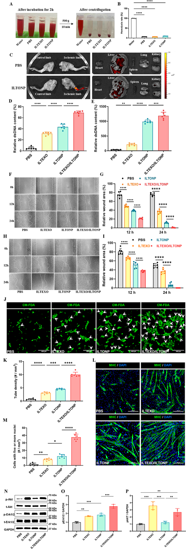 外泌体技术服务 外泌体技术服务