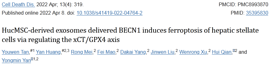 又一篇外泌体&铁死亡研究思路文章，一区9分＋，建议收藏！