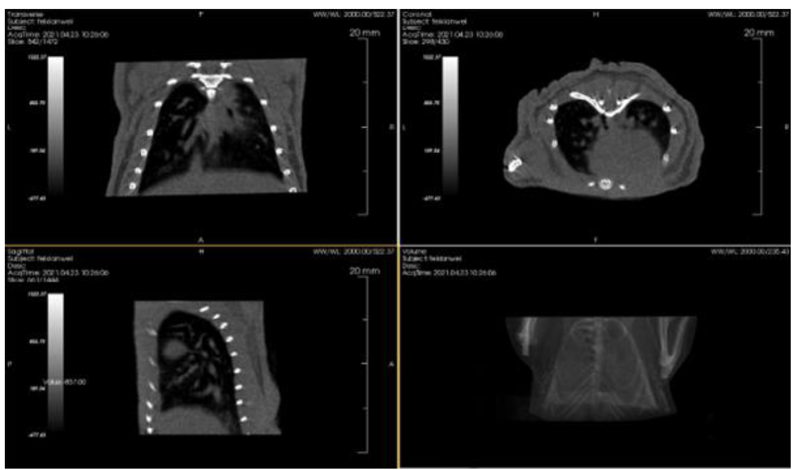 小动物成像检测有哪些?可以对应哪些指标?