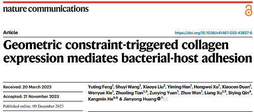 北大Nature子刊！单细胞显微操作系统助力细菌与宿主粘附调控新机制
