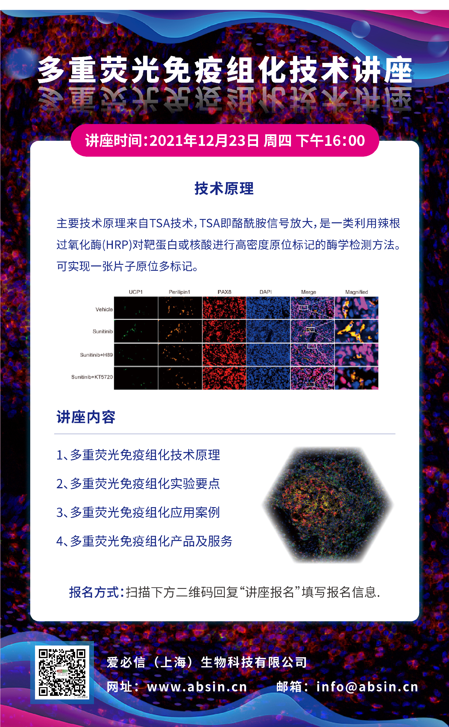 absin 多重荧光免疫组化技术讲座报名啦！！！
