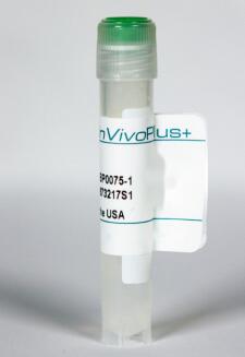 BioXCell艾美捷体内抗小鼠 Ly6G解决方案 BioXCell艾美捷体内抗小鼠 Ly6G解决方案